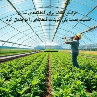 افزایش تقاضا برای گلخانه‌های مدرن، اهمیت نصب پلی کربنات گلخانه‌ای را دوچندان کرد
