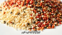 کینوا را از کجا تهیه کنیم